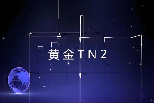 黄金TN2