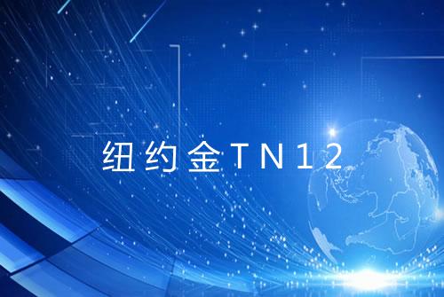 纽约金TN12
