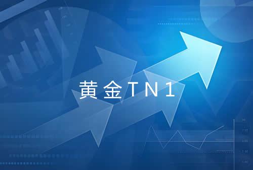 黄金TN1