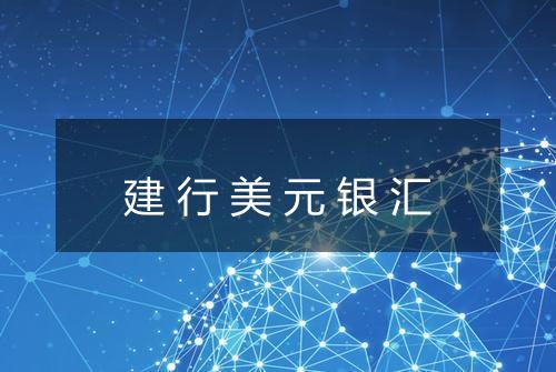 建行美元银汇
