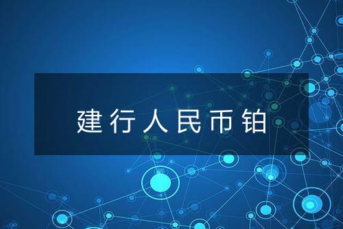 建行人民币铂