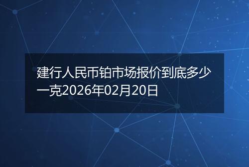 建行人民币铂市场报价到底多少一克2026年02月20日