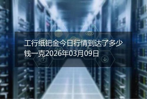 工行纸钯金今日行情到达了多少钱一克2026年03月09日