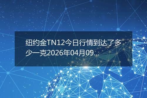 纽约金TN12今日行情到达了多少一克2026年04月09日