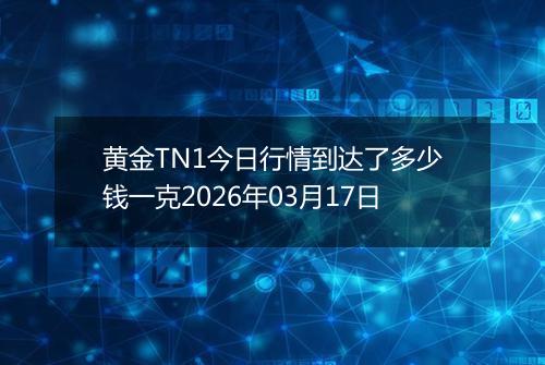 黄金TN1今日行情到达了多少钱一克2026年03月17日