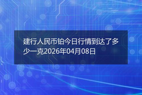 建行人民币铂今日行情到达了多少一克2026年04月08日