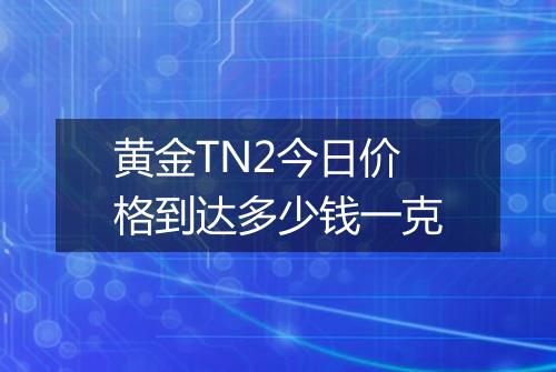黄金TN2今日价格到达多少钱一克