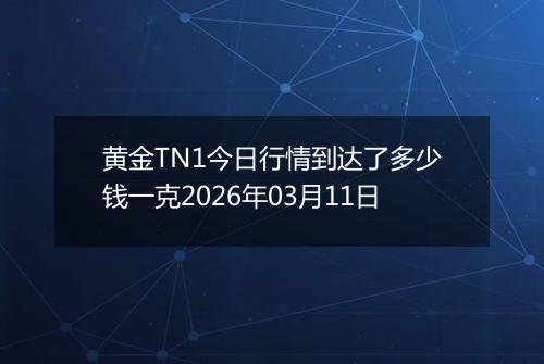 黄金TN1今日行情到达了多少钱一克2026年03月11日