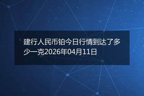 建行人民币铂今日行情到达了多少一克2026年04月11日