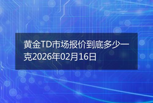 黄金TD市场报价到底多少一克2026年02月16日