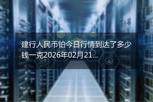建行人民币铂今日行情到达了多少钱一克2026年02月21日