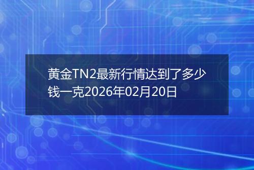 黄金TN2最新行情达到了多少钱一克2026年02月20日