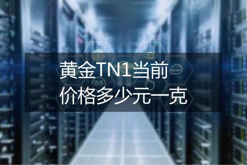 黄金TN1当前价格多少元一克