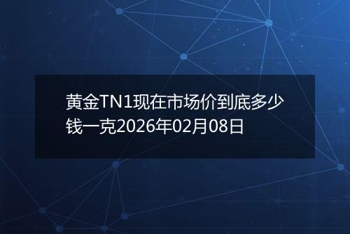 黄金TN1现在市场价到底多少钱一克2026年02月08日