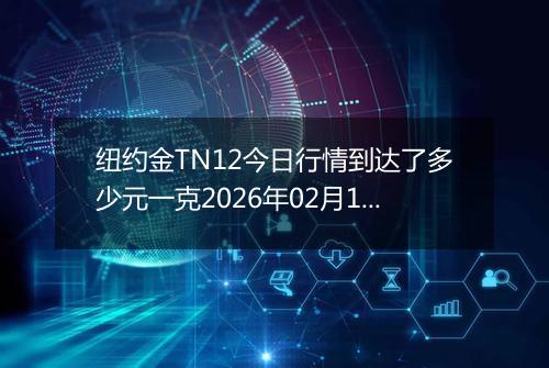 纽约金TN12今日行情到达了多少元一克2026年02月15日