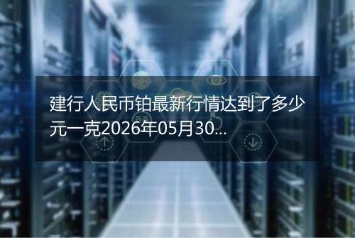 建行人民币铂最新行情达到了多少元一克2026年05月30日