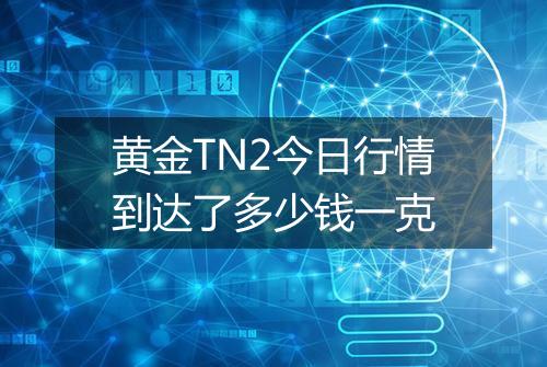 黄金TN2今日行情到达了多少钱一克