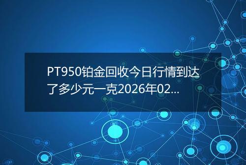 PT950铂金回收今日行情到达了多少元一克2026年02月23日