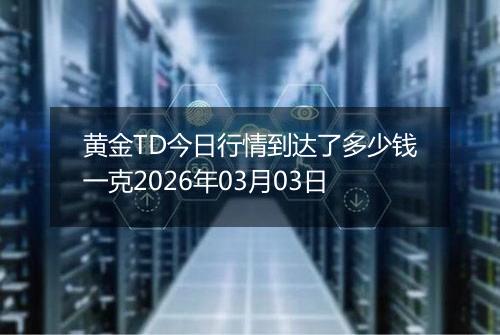 黄金TD今日行情到达了多少钱一克2026年03月03日