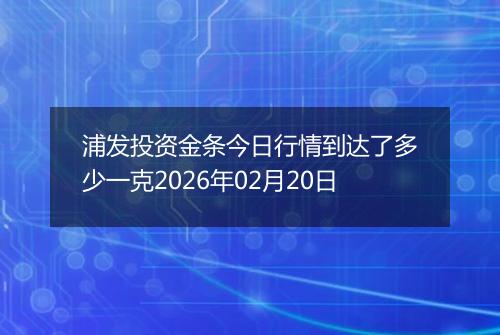 浦发投资金条今日行情到达了多少一克2026年02月20日