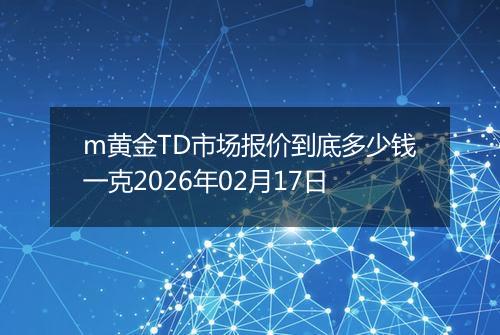 m黄金TD市场报价到底多少钱一克2026年02月17日