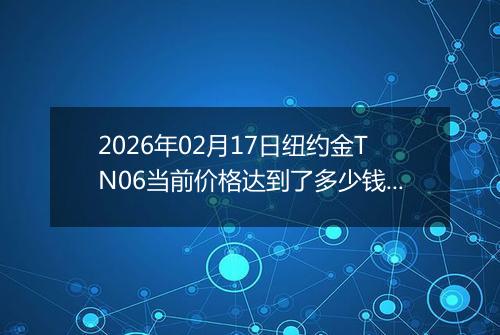 2026年02月17日纽约金TN06当前价格达到了多少钱一克2026年02月17日