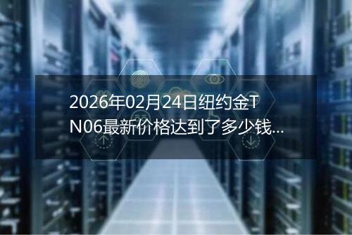 2026年02月24日纽约金TN06最新价格达到了多少钱一克