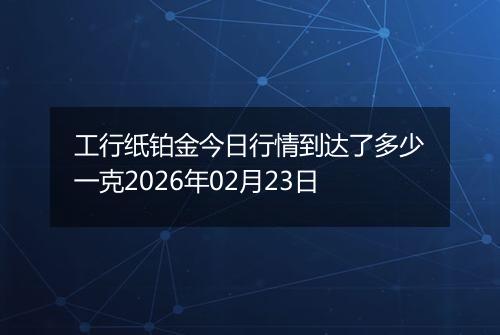 工行纸铂金今日行情到达了多少一克2026年02月23日