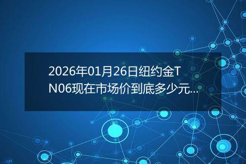 2026年01月26日纽约金TN06现在市场价到底多少元一克
