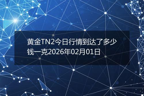 黄金TN2今日行情到达了多少钱一克2026年02月01日