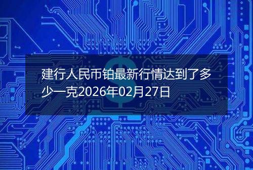 建行人民币铂最新行情达到了多少一克2026年02月27日