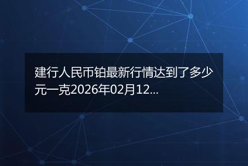 建行人民币铂最新行情达到了多少元一克2026年02月12日