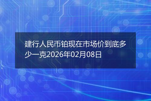 建行人民币铂现在市场价到底多少一克2026年02月08日