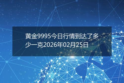 黄金9995今日行情到达了多少一克2026年02月25日