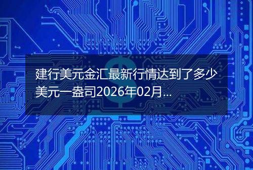 建行美元金汇最新行情达到了多少美元一盎司2026年02月09日