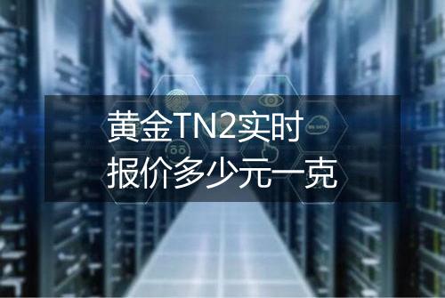 黄金TN2实时报价多少元一克