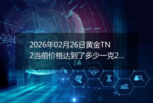 2026年02月26日黄金TN2当前价格达到了多少一克2026年02月26日