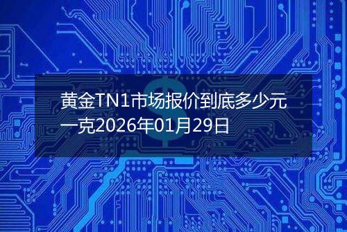 黄金TN1市场报价到底多少元一克2026年01月29日