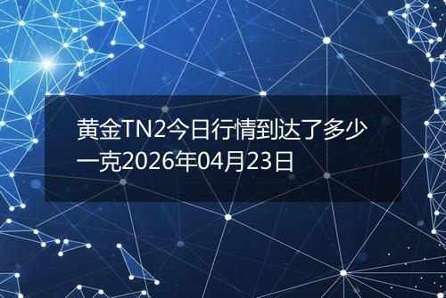 黄金TN2今日行情到达了多少一克2026年04月23日