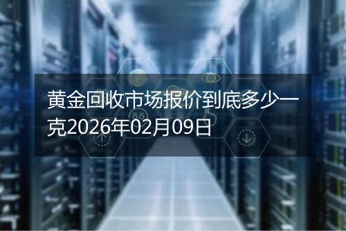黄金回收市场报价到底多少一克2026年02月09日