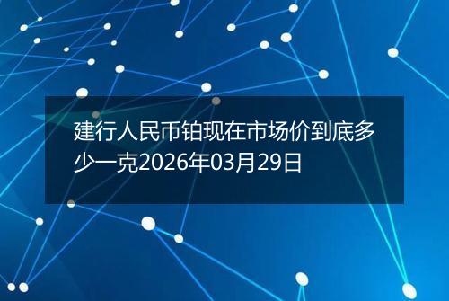 建行人民币铂现在市场价到底多少一克2026年03月29日