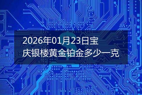 2026年01月23日宝庆银楼黄金铂金多少一克
