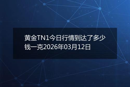 黄金TN1今日行情到达了多少钱一克2026年03月12日