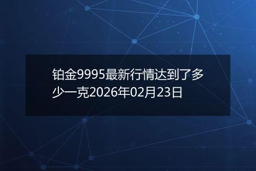 铂金9995最新行情达到了多少一克2026年02月23日