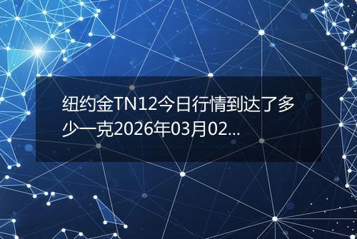 纽约金TN12今日行情到达了多少一克2026年03月02日