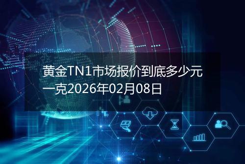 黄金TN1市场报价到底多少元一克2026年02月08日