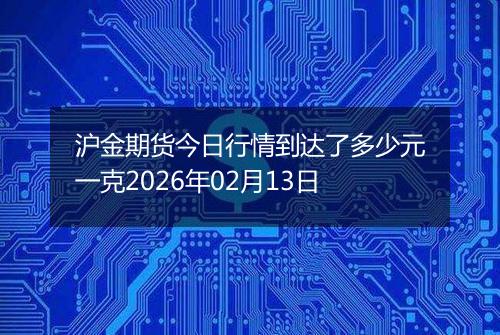 沪金期货今日行情到达了多少元一克2026年02月13日