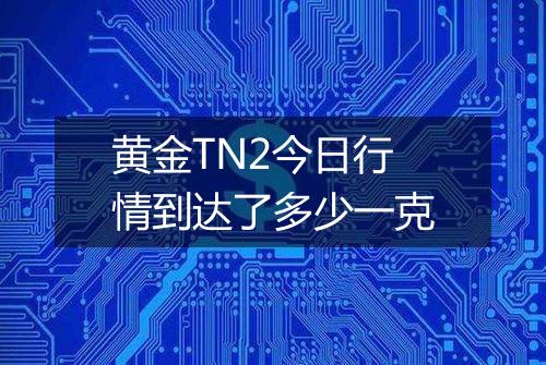 黄金TN2今日行情到达了多少一克