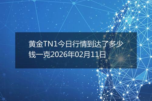 黄金TN1今日行情到达了多少钱一克2026年02月11日