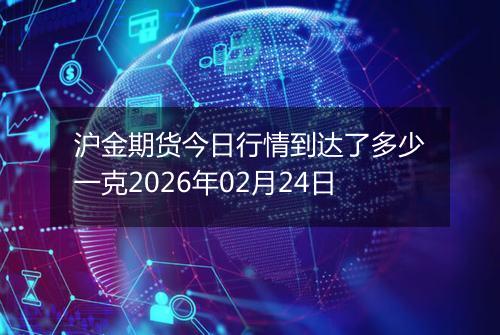 沪金期货今日行情到达了多少一克2026年02月24日